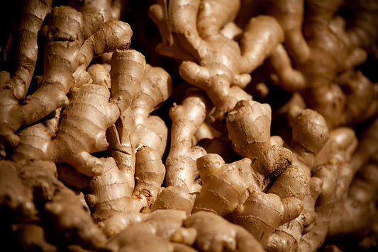 Ginger for Daily Wellness