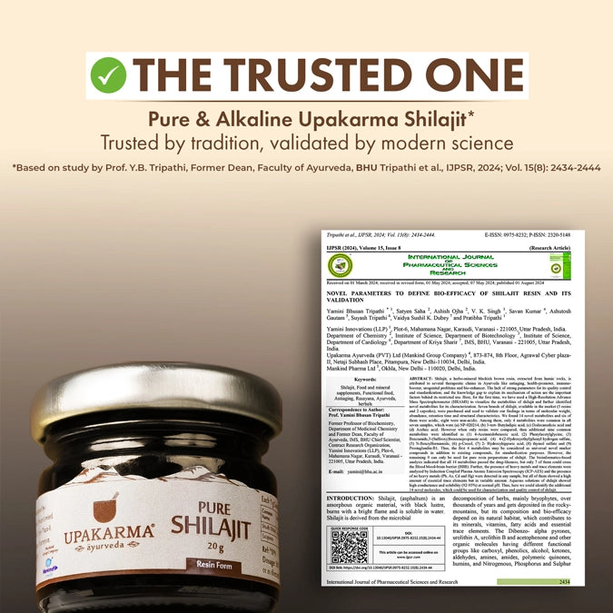 UPAKARMA Shilajit Gold Resin 20g | Contains 24 Carat Gold | Pure & Original | Helps Better Physical Performance | 100% Ayurvedic & Natural Shilajeet | Lab Tested