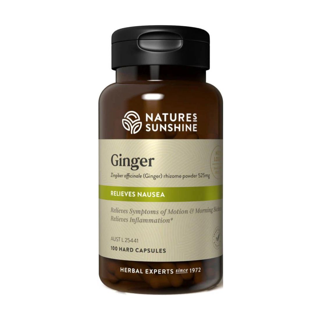 Nature's Sunshine Ginger 500mg 100c