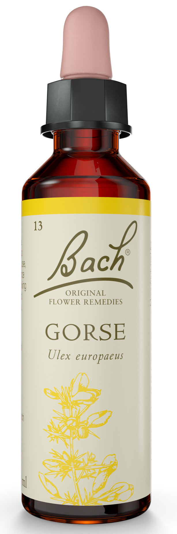 Bach Original Flower Remedies Gorse 20ml