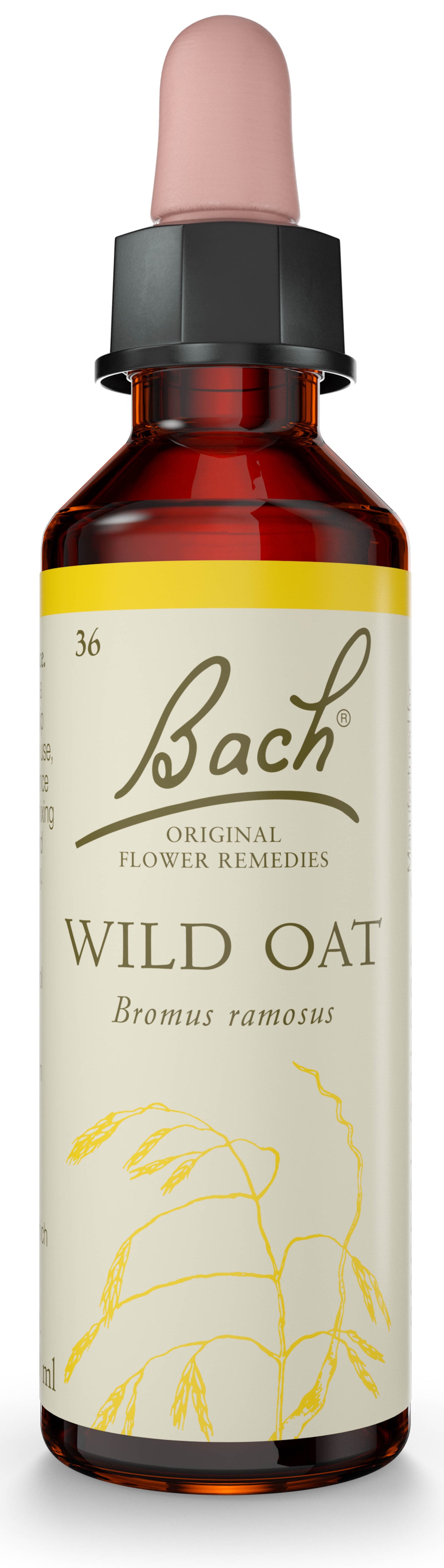 Bach Original Flower Remedies Wild Oat 20ml