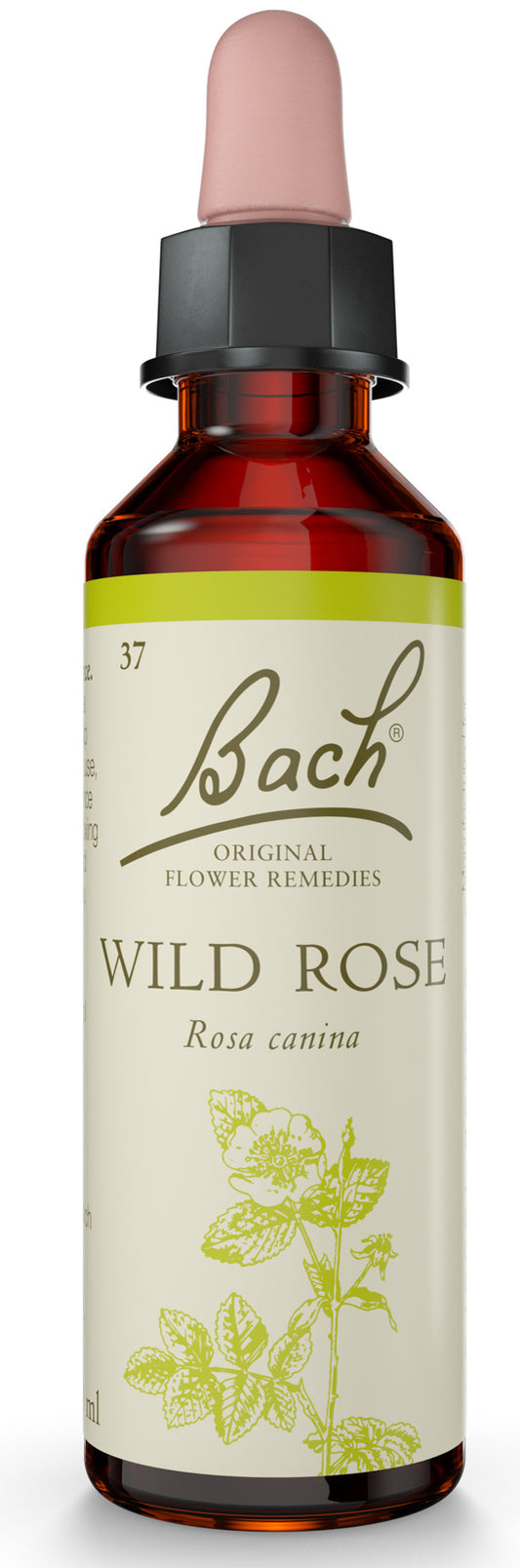 Bach Original Flower Remedies Wild Rose 20ml